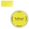Image de Panpastel 9 ml - Bright Yellow Green