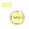 Image de Panpastel 9 ml - Bright Yellow Green Tint