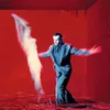 Image de Peter Gabriel - Us - Standard Version - 2 Vinilos