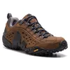 Image de Chaussures De Marche Merrell  Intercept J598633 - Marron - 41