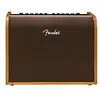 Image de Acoustic 100