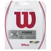 Image de Wilson Nxt Power 17