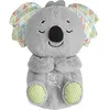 Image de Fisher-Price Fisher-Price-Peluche Mon Koala CÃ¢lins Bonne Nuit-veilleuse musicale