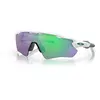 Image de Lunettes de soleil Oakley Radar EV Path TU