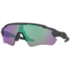 Image de Lunette De Soleil Panoramique Oakley  - L