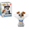 Image de Funko Pop Movies: Slop 2 - Max In Cone