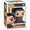 Image de Figurine Funko Pop - Duncan Idaho - Dune (1027) - Pop Movies - Fu51605
