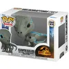 Image de Funko Pop!&buddy: Jurassic World: Dominion- Velociraptor (Blue & Beta) [] Vin