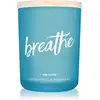Image de Bougie parfumée Dw Home Zen Breathe 210 G