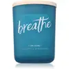 Image de Bougie parfumée DW Home Zen Breathe 425 g