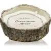 Image de Bougie parfumée DW Home Autumn Splendor Santal Myrrhe 1026 g