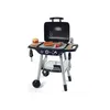 Image de CUISINES ET ACCESSOIRES BBQ GRILL