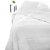 Image de Couettes Toison D'or  Couette  SILKYDOR en soie Mulberry blanc P31600166