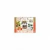 Image de Coffret 5 ActivitÃ©s Nature - Do It Yourself Djeco