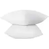 Image de Abeil Lot De 2 Oreillers FluffydreamÂ® 60 X 60 Cm