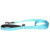 Image de Laisse Nyl Dble 25-120 Tur Turquoise