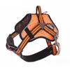 Image de Harnais Arka Dog S Orange