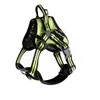 Image de Harnais Pour Chien Martin Sellier Xl Mixte Orange
