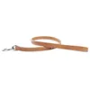 Image de Laisse Pour Chien Cuir Vachette Martin Sellier Tu Mixte Beige
