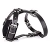 Image de Harnais Pour Chien En Cuir Feutre Martin Sellier 25/90 Cm Mixte Noir