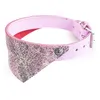Image de Collier Pour Chien Martin Sellier Malibu 25 Cm Mixte Vert