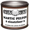 Image de Traitement Mastic Ã Cicatriser 410 Grammes