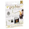 Image de EMTEC Harry Potter Gryffindor - Carte mÃ©moire flash (adaptateur microSDHC - SD inclus(e)) - 32 Go - UHS-I U1 - microSDHC UHS-I