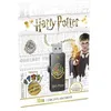 Image de EMTEC Harry Potter M730 Hogwarts - ClÃ© USB - 16 Go - USB 2.0