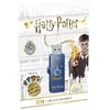 Image de EMTEC Harry Potter M730 Ravenclaw - ClÃ© USB - 32 Go - USB 2.0