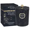 Image de Maison berger paris Bougie parfumée Kali Black Magnifique vanille Magnificence 240 g