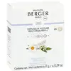 Image de Maison berger paris Recharge pour diffuseur de voiture Cozy Musk, 2 pièces