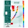 Image de Exacompta Jeu Intercalaire Mois A4 Carte Bl.+Ongl.Coul.Imp