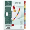 Image de Exacompta Jeu D'intercalaire NumÃ©rique 12 Positions En Carte Blanche 170g, Onglets MylarÂ®. Format A4+.