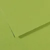 Image de Papier Mi-Teintes - 50 x 65 cm - 160 g/m² - vert pomme (475)