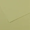 Image de Papier Mi-Teintes - 50 x 65 cm - 160 g/m² - vert amande (480)
