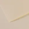 Image de Papier Mi-Teintes - 50 x 65 cm - 160 g/m² - lys (110)