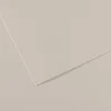Image de Papier Mi-Teintes - 50 x 65 cm - 160 g/m² - gris perle (120)
