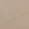 Image de Papier Mi-Teintes - 50 x 65 cm - 160 g/m² - gris flanelle (122)