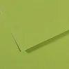 Image de Papier Mi-Teintes - A4 - 160 g/m² - vert pomme (475)