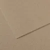 Image de Papier Mi-Teintes - 50 x 65 cm - 160 g/m² - gris fumée (429)