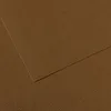 Image de Papier Mi-Teintes - 50 x 65 cm - 160 g/m² - marron foncé (501)