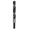 Image de MÃ¨ches hÃ©licoÃ¯dales Ã  bois Standard 14 x 96 x 151 mm, d 10 mm 1pc