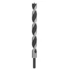 Image de MÃ¨che Ã  bois industrielle, pointe M 18 x 250 mm, d 10 mm 1pc