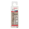 Image de Lot de 10 forets Ã  mÃ©taux rectifiÃ©s HSS-co standard DIN 338 Ã2.5mm Longueur 57mm BOSCH 2608585875
