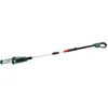 Image de Bosch 06008B3101 tronÃ§onneuse Noir et Vert