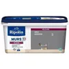 Image de RIPOLIN Peinture Couleur Velours pour Murs. Boiseries Radiateurs - Gris ardoise