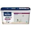 Image de RIPOLIN Peinture Couleur Velours pour Murs. Boiseries Radiateurs - Gris lome