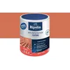 Image de Peinture RevÃªtement Anti-Infiltration Toiture - 0,75L - Terre Cuite - Ripolin