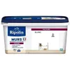 Image de RIPOLIN Peinture Blanc Velours pour Murs. Boiseries Radiateurs - Blanc