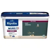 Image de RIPOLIN Peinture Couleur Velours pour Murs. Boiseries Radiateurs - Vert Armerie